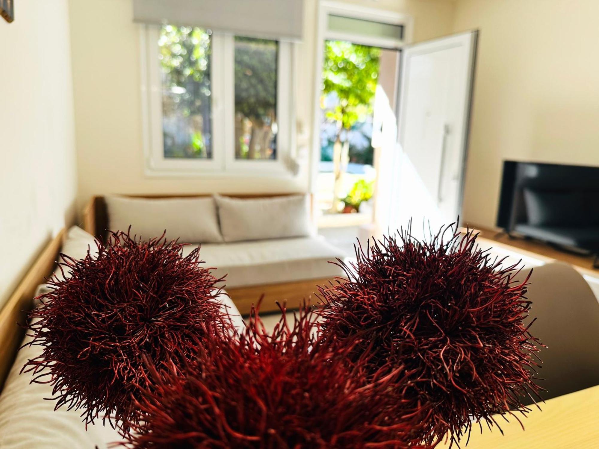 Matina Room Hanya Dış mekan fotoğraf